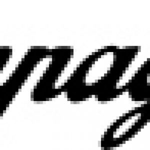 campagnolo